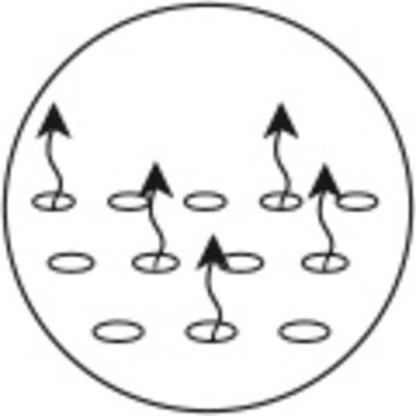 ALVI Colchón Sueñecito 70 X 140 Cm 7 ALVI Colchón Sueñecito 70 X 140 Cm - Imagen 5